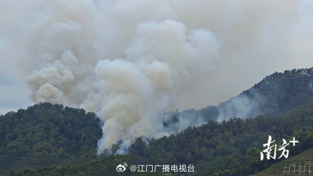 广东肇庆突发山火