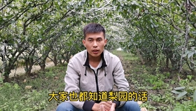 揭秘李维刚的打药真相