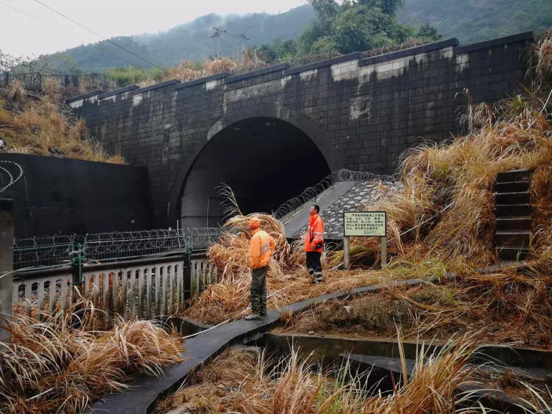 台湾地震伤亡事件深度解析